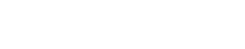 Welaunch logo in white